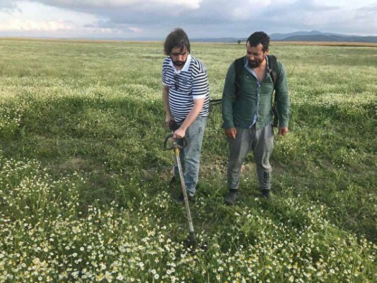 Samsun'da görev yapan doktor üretti: Kilosu 6 bin avroya satılıyor 6