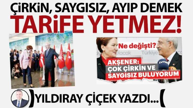 Çirkin, saygısız, ayıp demek tarife yetmez!