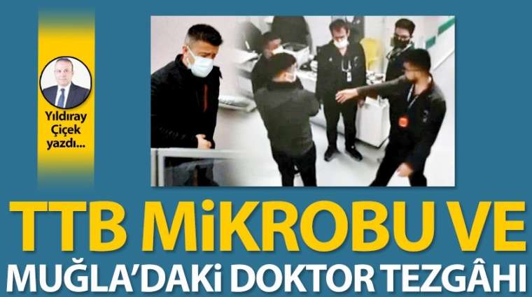 TTB mikrobu ve Muğla'daki doktor tezgâhı