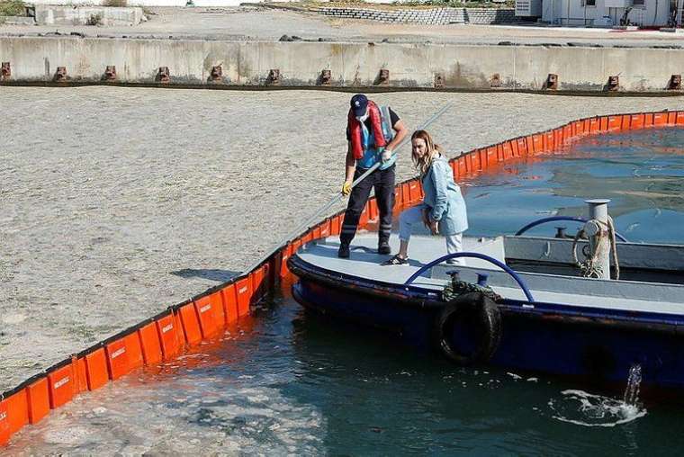 Marmara'daki müsilajın sebebi belli oldu! 15