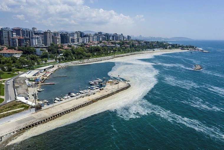 Marmara'daki müsilajın sebebi belli oldu! 4