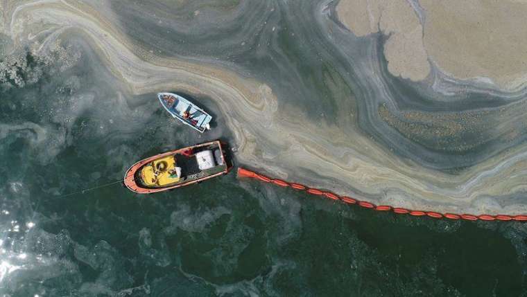 Marmara'daki müsilajın sebebi belli oldu! 8