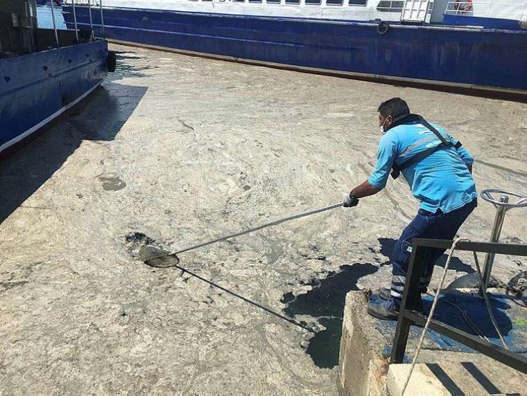 Marmara'daki müsilajın sebebi belli oldu! 10