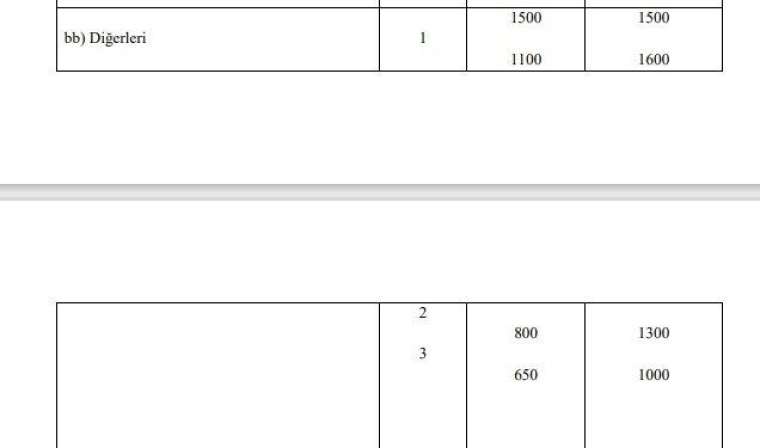 3600 ek gösterge kimlere verilecek? Kim ne kadar ek gösterge alacak? İşte meslek meslek tam liste 28