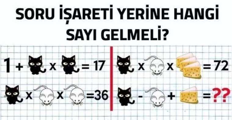 Çok az kişi çözebildi! Sosyal medyayı kasıp kavuran işte o zeka testi 11