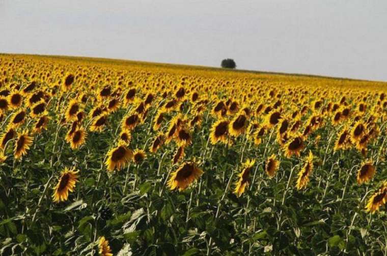 Türkiye'deki şehirlerin isimleri nereden geliyor? Duyunca çok şaşıracaksınız 56