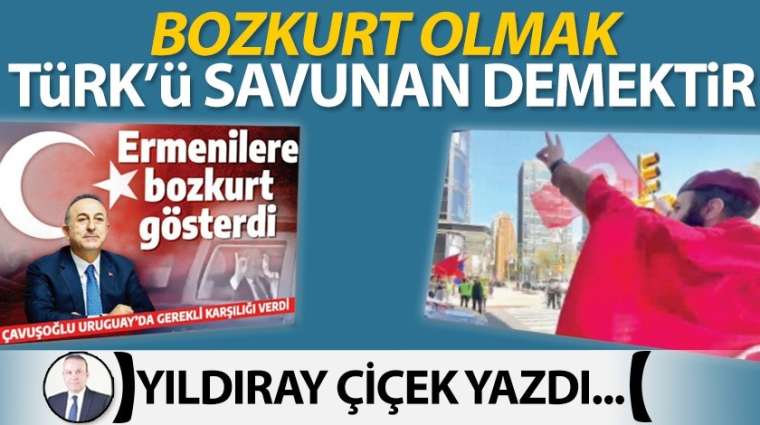 Bozkurt olmak Türk'ü savunan demektir