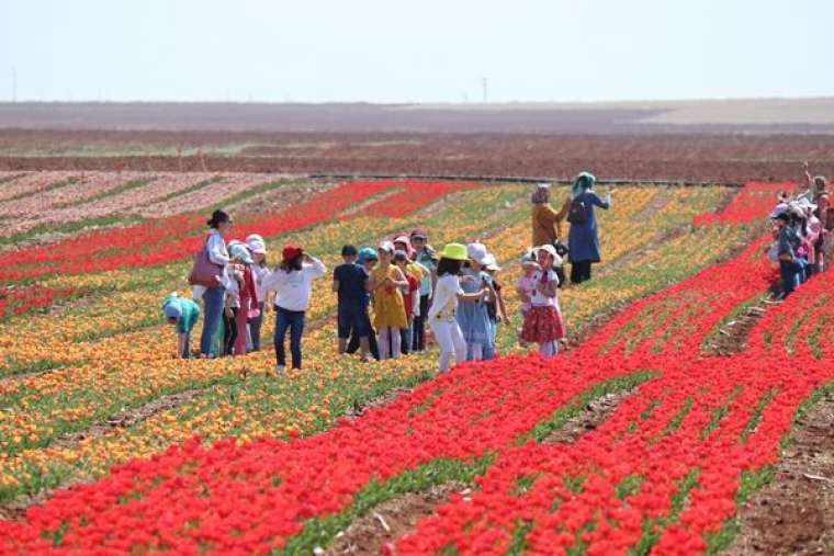 Türkiye'de üretildi... 10'dan fazla ülkeye ihraç ediliyor 2