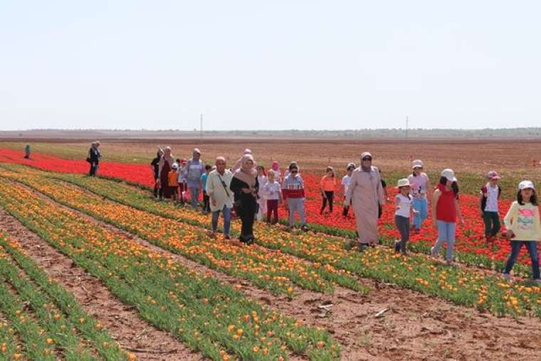 Türkiye'de üretildi... 10'dan fazla ülkeye ihraç ediliyor 11