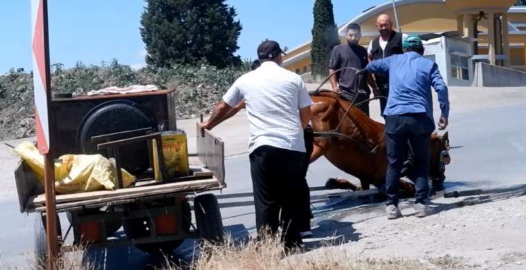 40 derecelik havada yük taşıyan at yere yığıldı! Vatandaşlar hemen yardıma koştu 4