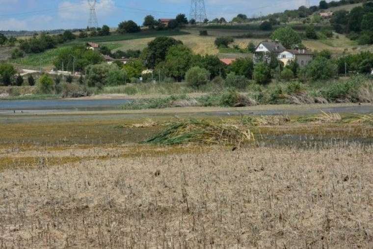 Kocaeli'deki Gölkay Park'ta korkutan görüntü 1