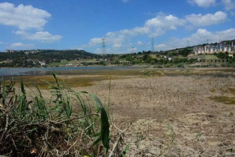 Kocaeli'deki Gölkay Park'ta korkutan görüntü 2