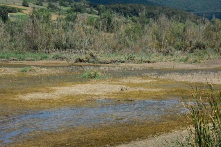 Kocaeli'deki Gölkay Park'ta korkutan görüntü 4