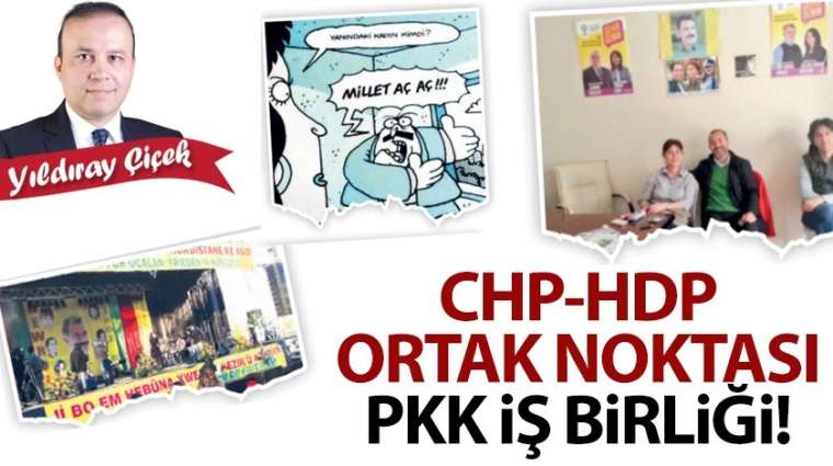 CHP-HDP  ortak noktası PKK işbirliği!