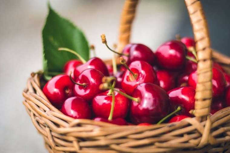 Dünyanın en sağlıklı yiyeceği! Haftada 5 kez yediğinizde kalbinizi onarıyor… 34