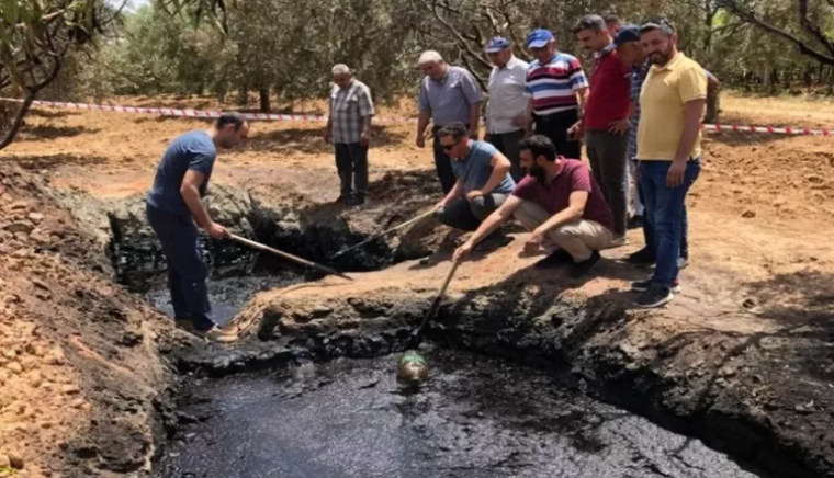 Tarlasından çıkan yangınla zengin oldu! 925 milyon TL teklif geldi: Talih kuşu diye  buna denir! 13