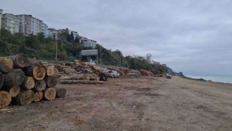 Müthiş iş başardı! Zonguldak'tan 7 ülkeye göndermeye başladı 4