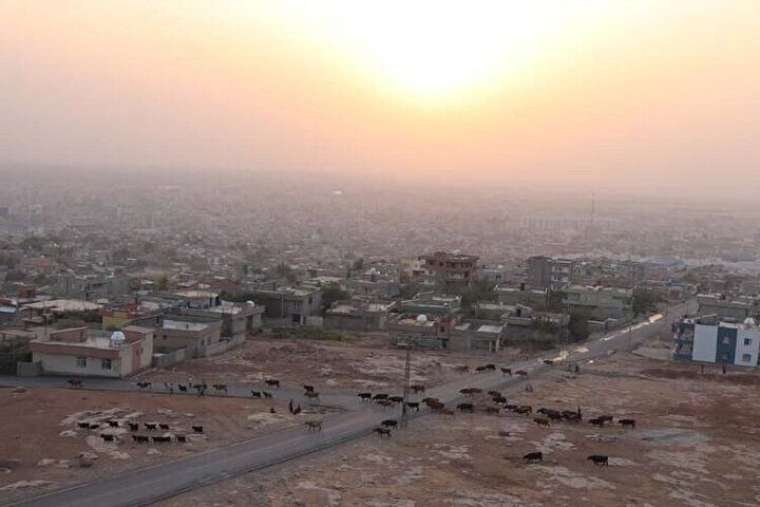 Türkiye'nin en yerli ili neresi: Şehir şehir açıklandı ilk sıradaki isim herkesi şaşırttı 75