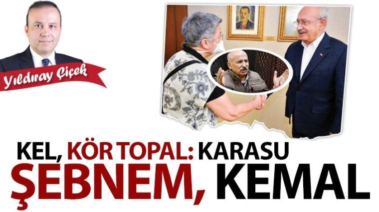 Kel, kör, topal: Karasu, Şebnem, Kemal