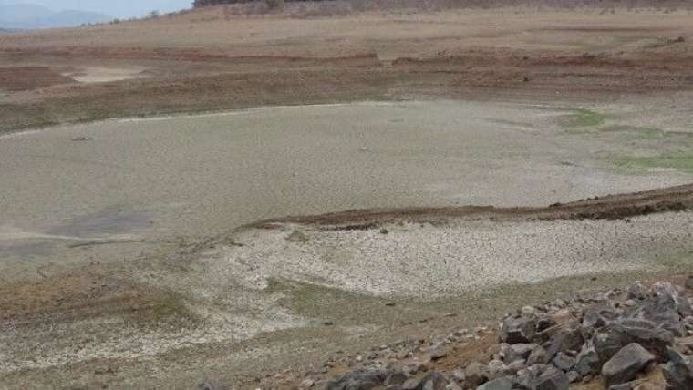 Türkiye’de giderek yayılıyor! Çanakkale'de endişelendiren görüntü 12