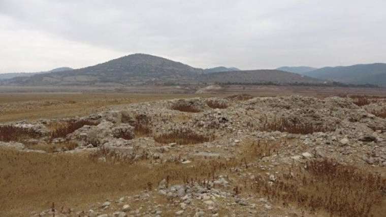 Türkiye’de giderek yayılıyor! Çanakkale'de endişelendiren görüntü 7