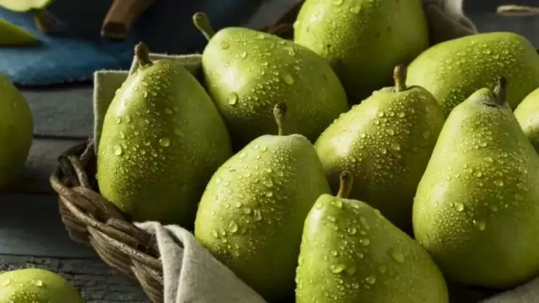 İbn-i Sina'nın "Ramazan" reçetesi ortaya çıktı! Ne susuzluk kalacak ne de açlık: 850 yıllık mucize... 9