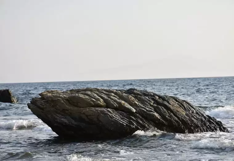 Dünyanın en ücra yerlerinden Gough Adası’nda çalışacak biri aranıyor 4