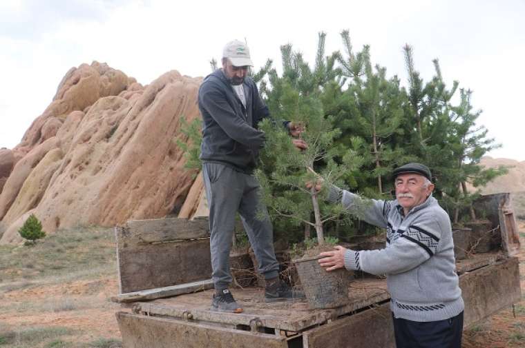 Burası Türkiye'de! Mars böyle yeşertilecek 9