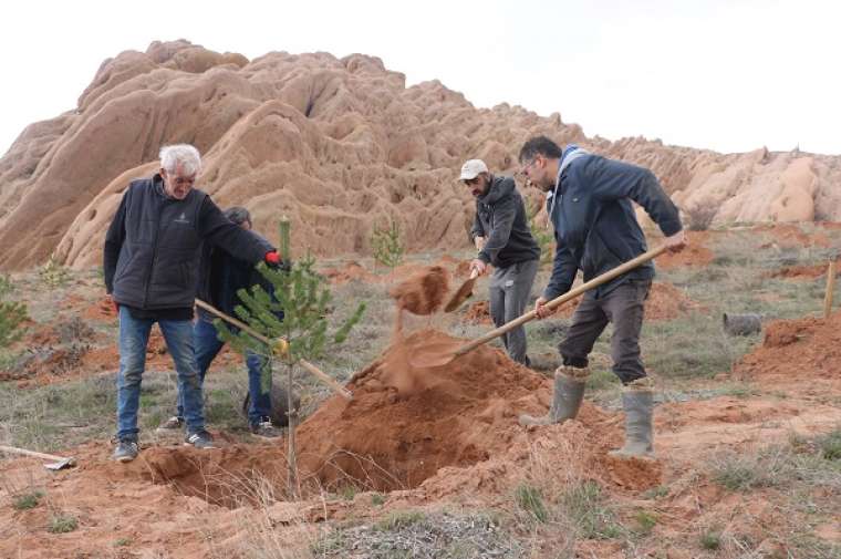 Burası Türkiye'de! Mars böyle yeşertilecek 7