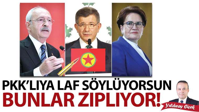 PKK'lıya laf söylüyorsun bunlar zıplıyor