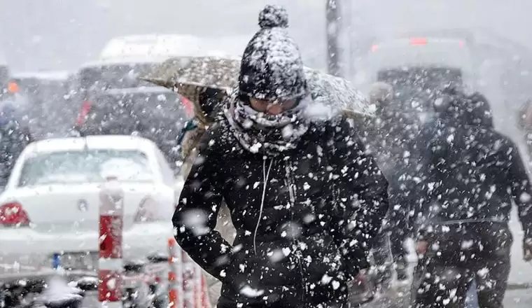 Bilim insanı 'Üzülerek belirtiyorum' diyerek duyurdu! Artık ülkemizde göremeyebiliriz 3