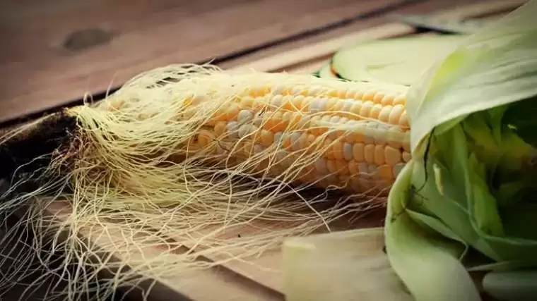 Mısırın püskülünü atmayın! Böyle kullandığınızda olacaklara çok şaşıracaksınız... 9