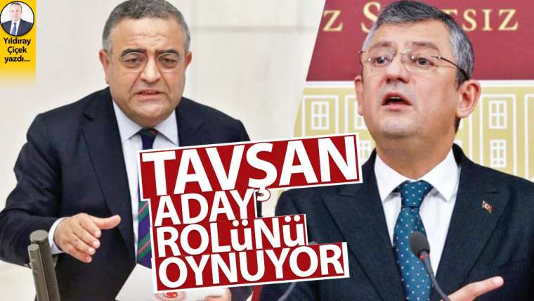 Tavşan aday rolünü oynuyor