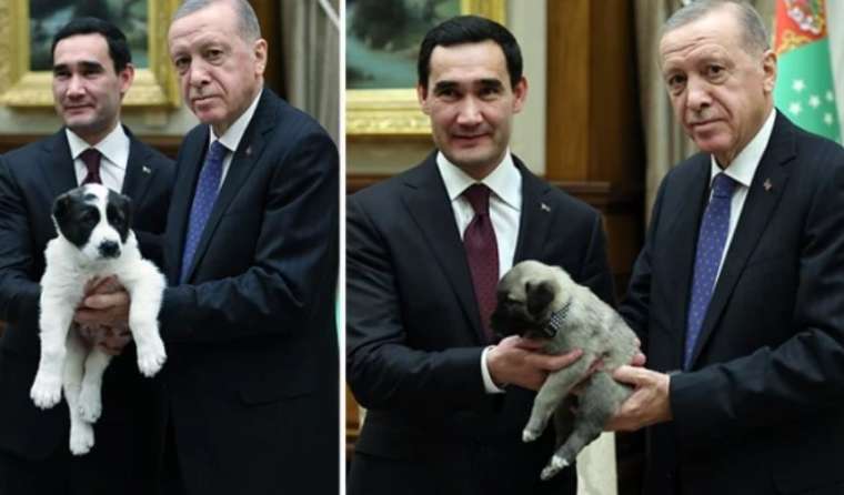 Cumhurbaşkanı Erdoğan ve Berdimuhamedov birbirlerine köpek hediye etti 1