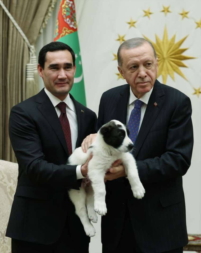 Cumhurbaşkanı Erdoğan ve Berdimuhamedov birbirlerine köpek hediye etti 6