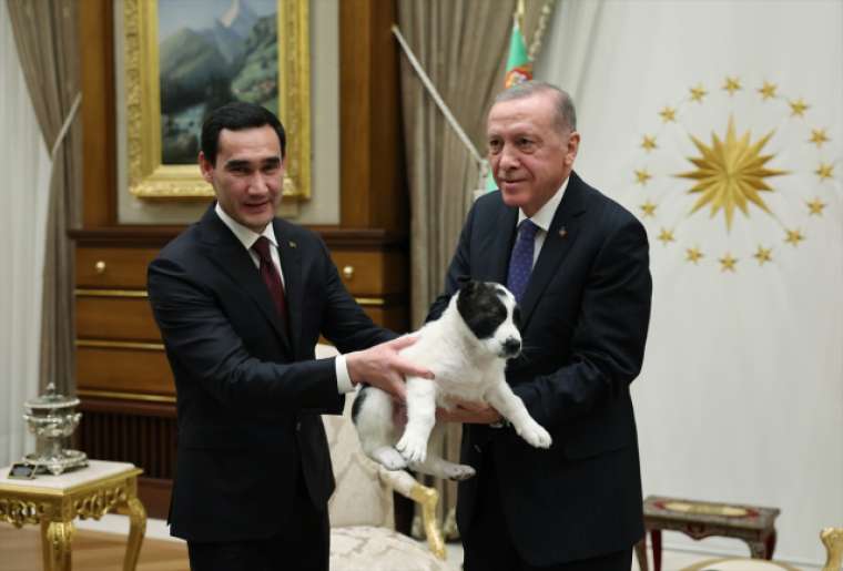 Cumhurbaşkanı Erdoğan ve Berdimuhamedov birbirlerine köpek hediye etti 5