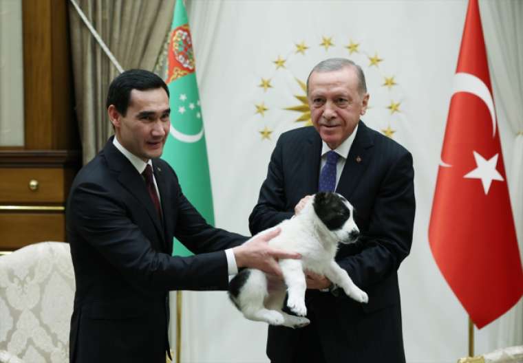 Cumhurbaşkanı Erdoğan ve Berdimuhamedov birbirlerine köpek hediye etti 2