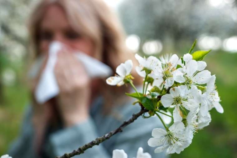 Portakaldan 7 kat fazla C vitamini içeriyor! Bunu yiyene hastalık bulaşmıyor… 13