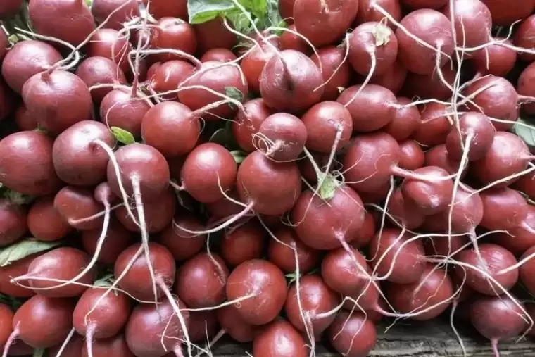 Toksinlerin kökünü kazıyor! 7 günde bir avuç yediğinizde ne iltihap kalıyor ne de şişkinlik 15