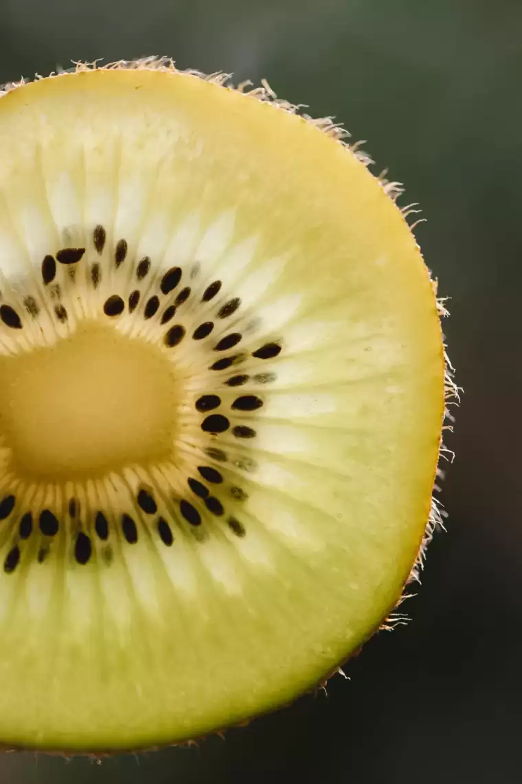 Canan Karatay'dan yaşam tüyosu! Bu şekilde tüketenler 10 yaş gençleşiyor 7