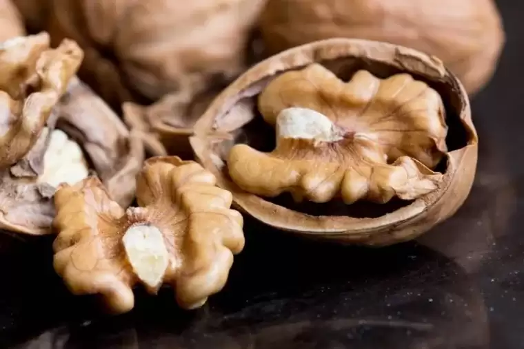 Canan Karatay anlattı: Her öğünde tüketin! Dünyanın en faydalı besini... 37