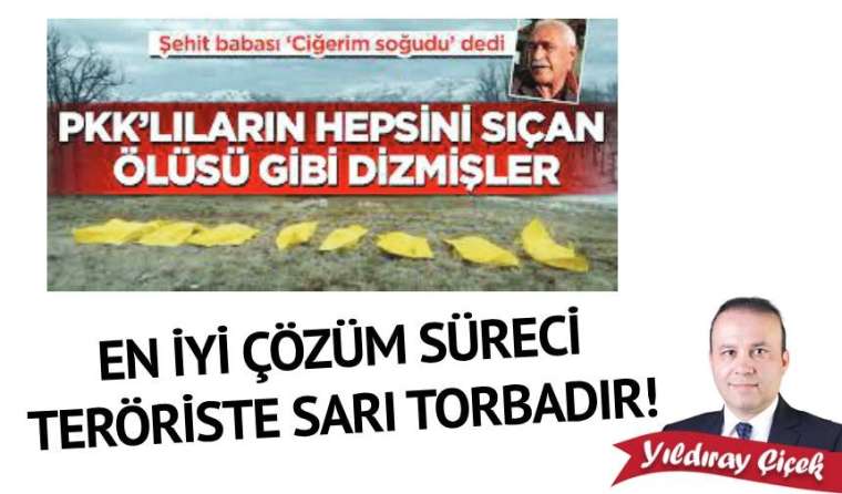 En iyi çözüm süreci teröriste sarı torbadır!