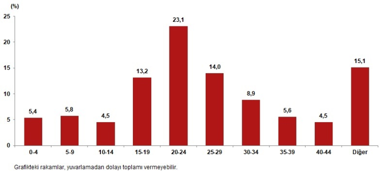 Türkiye'nin en çok göç alan ve göç veren illeri! 1