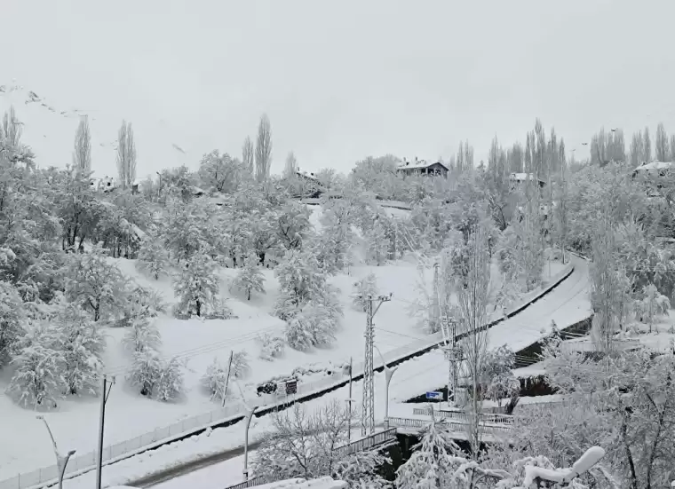 Doğu Anadolu'da şiddetli kar 4 ilde ulaşımı felç etti 2