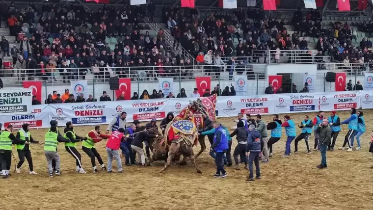 95 yaşındaki Hatice ninenin büyük tutkusu! Develerden kopamıyor 8