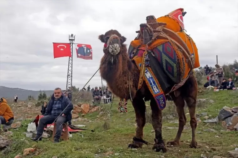 95 yaşındaki Hatice ninenin büyük tutkusu! Develerden kopamıyor 3