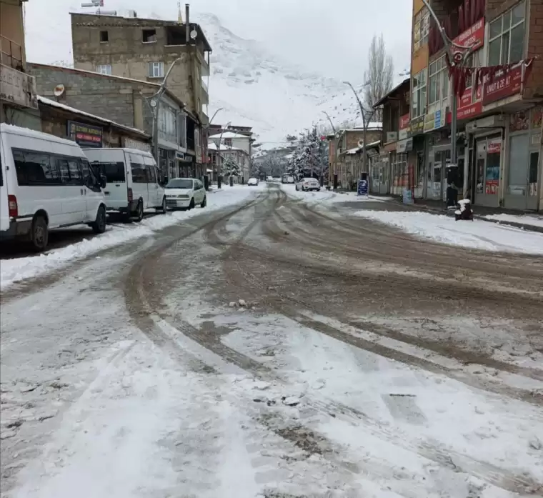 Doğu Anadolu'da şiddetli kar 4 ilde ulaşımı felç etti 1