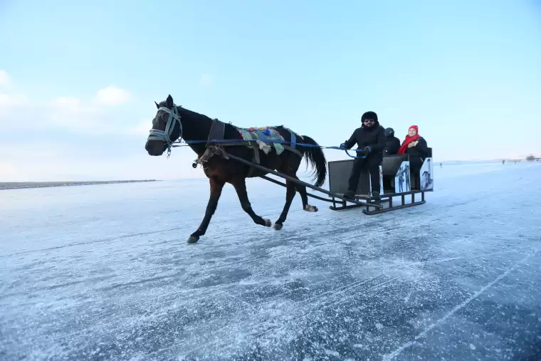 Çıldır Gölü'nde atlı kızak turizmi 1