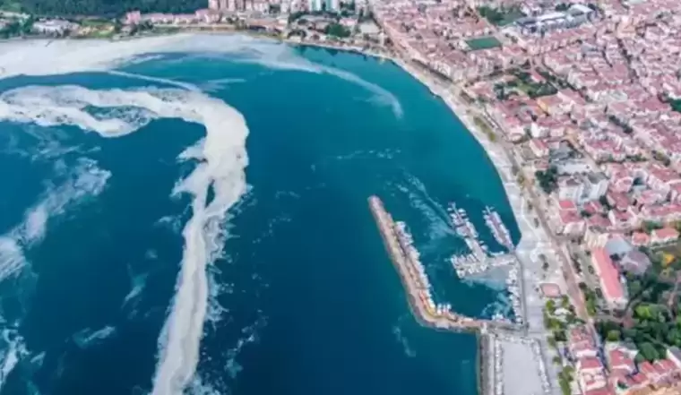 Marmara Denizi’nde yeni müsilaj alarmı! 1