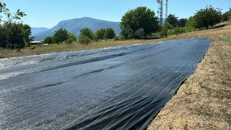 Safranbolu'da safranın erken çiçek açması için örtü yöntemi 2